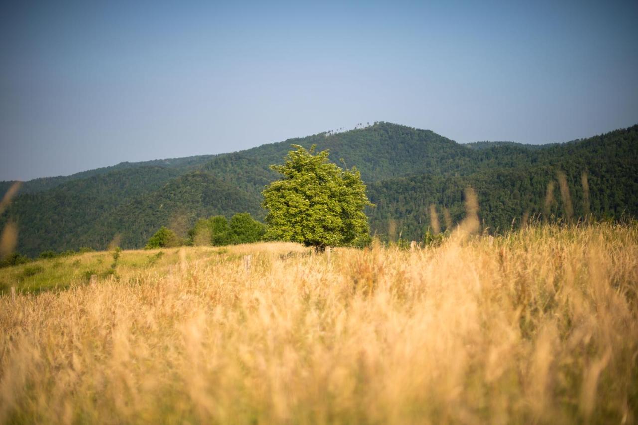 B&B Mad Mountain Robidisce Bagian luar foto